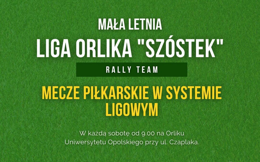 Mała Letnia Liga Orlika